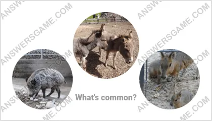 Answers to the Word Imposter Level 12 Puzzle 18