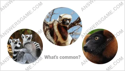 Answers to the Word Imposter Level 2 Puzzle 2