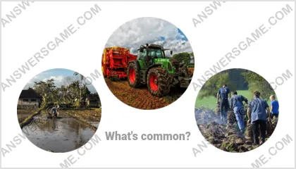 Answers to the Word Imposter Level 12 Puzzle 7