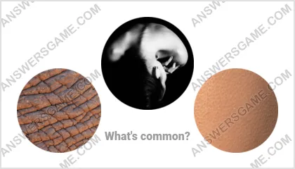 Answers to the Word Imposter Level 17 Puzzle 13