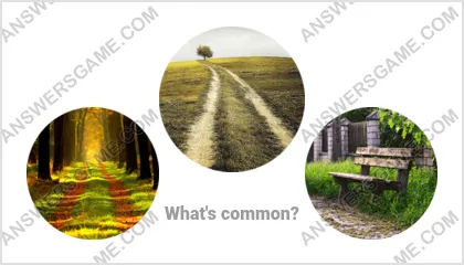 Answers to the Word Imposter Level 11 Puzzle 15