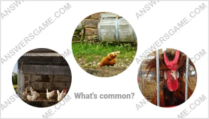 Answers to the Word Imposter Level 14 Puzzle 18