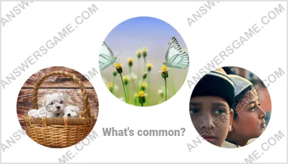 Answers to the Word Imposter Level 10 Puzzle 9