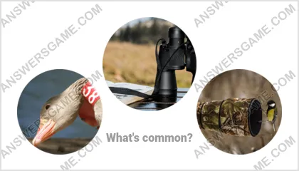 Answers to the Word Imposter Level 11 Puzzle 10