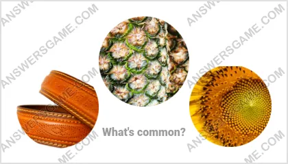 Answers to the Word Imposter Level 20 Puzzle 5