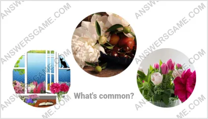 Answers to the Word Imposter Level 2 Puzzle 11