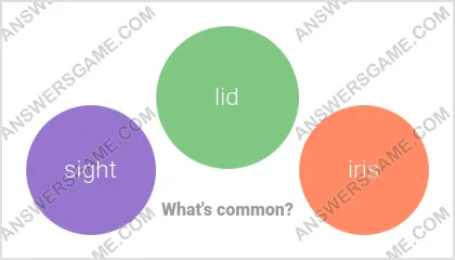 Answers to the Word Imposter Level 13 Puzzle 20