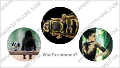 Answers to the Word Imposter Level 12 Puzzle 6