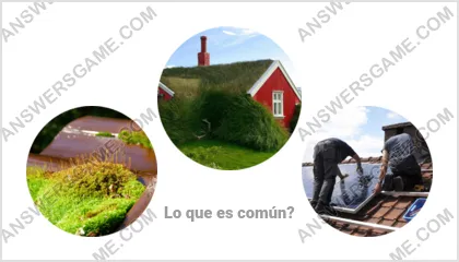 Respuestas al juego Palabra Impostor Nivel 11 Puzzle 6