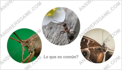 Respuestas al juego Palabra Impostor Nivel 5 Puzzle 1