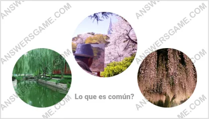 Respuestas al juego Palabra Impostor Nivel 14 Puzzle 14