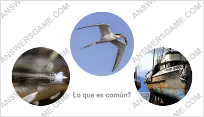 Respuestas al juego Palabra Impostor Nivel 8 Puzzle 2