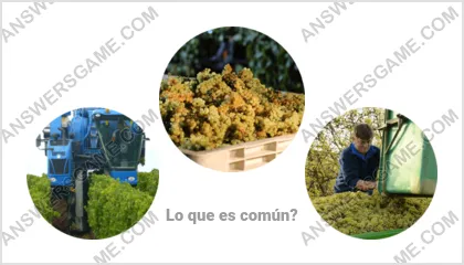 Respuestas al juego Palabra Impostor Nivel 16 Puzzle 6