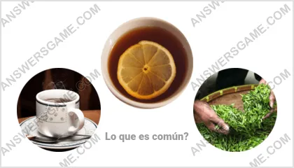 Respuestas al juego Palabra Impostor Nivel 3 Puzzle 17