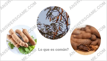 Respuestas al juego Palabra Impostor Nivel 14 Puzzle 17