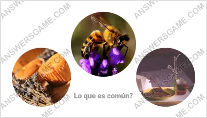 Respuestas al juego Palabra Impostor Nivel 4 Puzzle 1