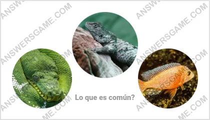 Respuestas al juego Palabra Impostor Nivel 7 Puzzle 14