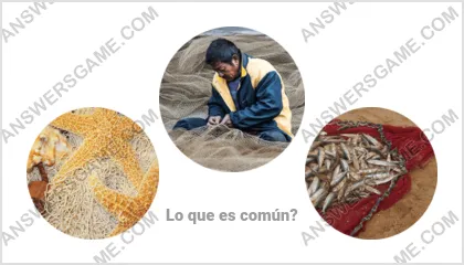 Respuestas al juego Palabra Impostor Nivel 7 Puzzle 17