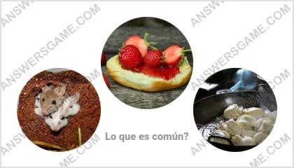 Respuestas al juego Palabra Impostor Nivel 13 Puzzle 5