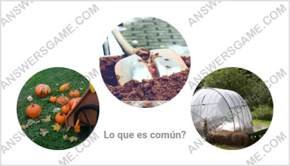 Respuestas al juego Palabra Impostor Nivel 7 Puzzle 1