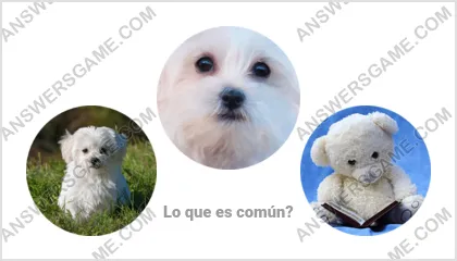 Respuestas al juego Palabra Impostor Nivel 1 Puzzle 18