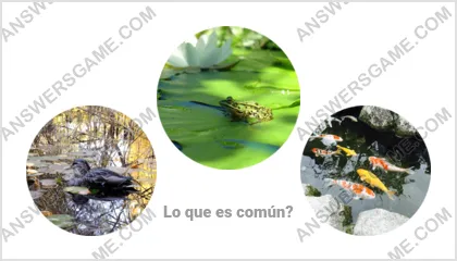 Respuestas al juego Palabra Impostor Nivel 9 Puzzle 7