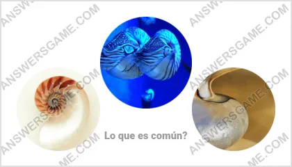 Respuestas al juego Palabra Impostor Nivel 3 Puzzle 19