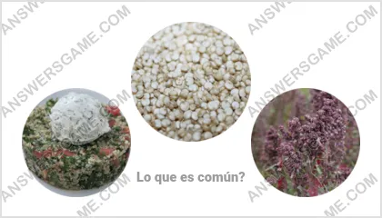 Respuestas al juego Palabra Impostor Nivel 15 Puzzle 7