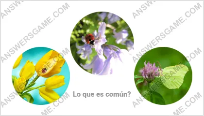 Respuestas al juego Palabra Impostor Nivel 19 Puzzle 3