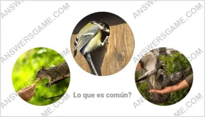 Respuestas al juego Palabra Impostor Nivel 7 Puzzle 3