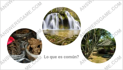 Respuestas al juego Palabra Impostor Nivel 9 Puzzle 13