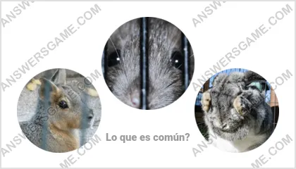 Respuestas al juego Palabra Impostor Nivel 14 Puzzle 19