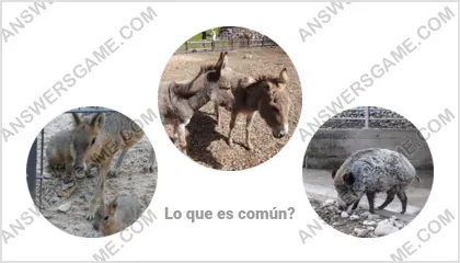 Respuestas al juego Palabra Impostor Nivel 12 Puzzle 18