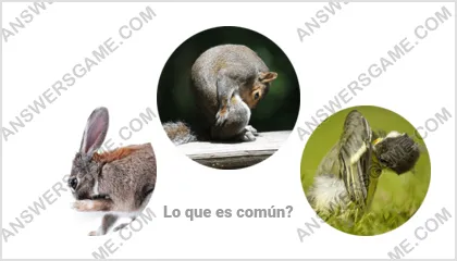 Respuestas al juego Palabra Impostor Nivel 7 Puzzle 2