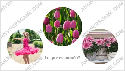 Respuestas al juego Palabra Impostor Nivel 7 Puzzle 11