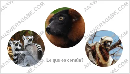 Respuestas al juego Palabra Impostor Nivel 2 Puzzle 2