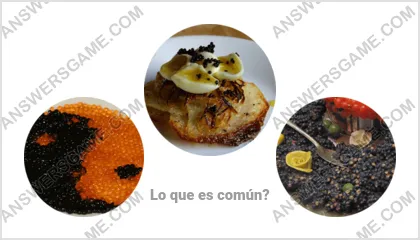 Respuestas al juego Palabra Impostor Nivel 4 Puzzle 17