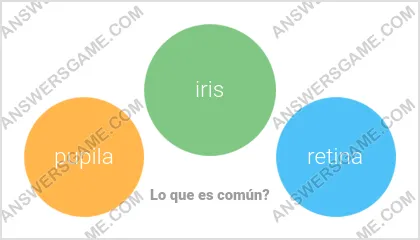 Respuestas al juego Palabra Impostor Nivel 13 Puzzle 8