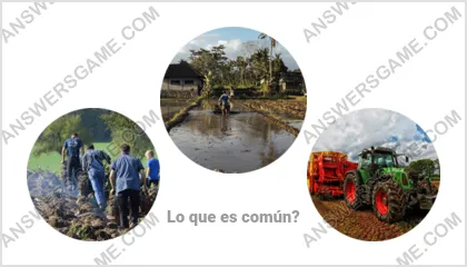 Respuestas al juego Palabra Impostor Nivel 12 Puzzle 7