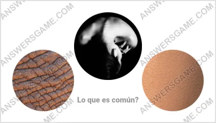 Respuestas al juego Palabra Impostor Nivel 17 Puzzle 13