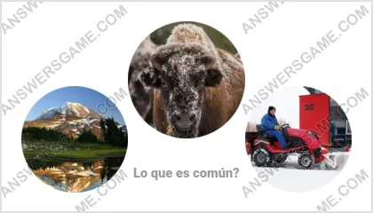 Respuestas al juego Palabra Impostor Nivel 4 Puzzle 2