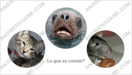 Respuestas al juego Palabra Impostor Nivel 17 Puzzle 19