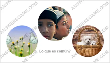 Respuestas al juego Palabra Impostor Nivel 10 Puzzle 9