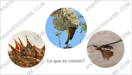 Respuestas al juego Palabra Impostor Nivel 11 Puzzle 11