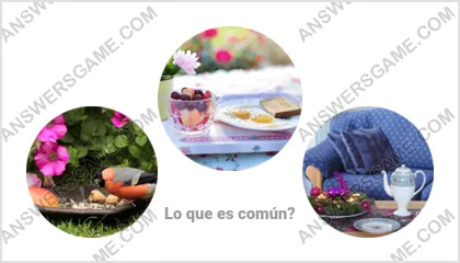 Respuestas al juego Palabra Impostor Nivel 14 Puzzle 6