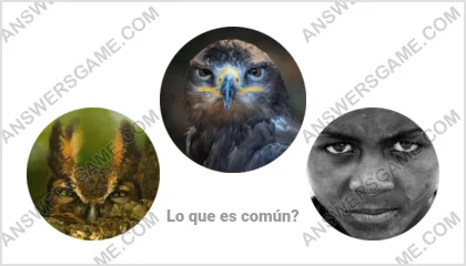 Respuestas al juego Palabra Impostor Nivel 16 Puzzle 3