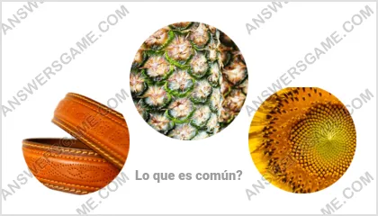 Respuestas al juego Palabra Impostor Nivel 20 Puzzle 5