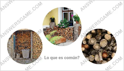 Respuestas al juego Palabra Impostor Nivel 6 Puzzle 2