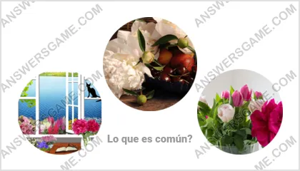 Respuestas al juego Palabra Impostor Nivel 2 Puzzle 11