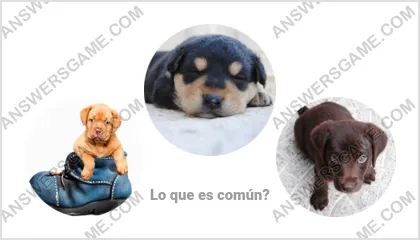 Respuestas al juego Palabra Impostor Nivel 10 Puzzle 11